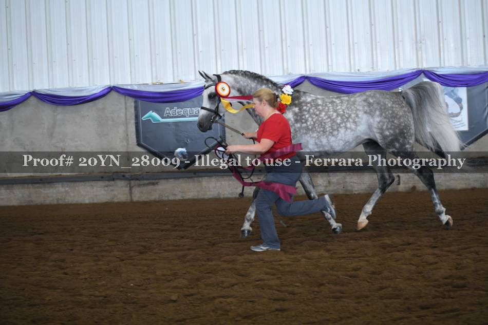 Proof 20YN_28009