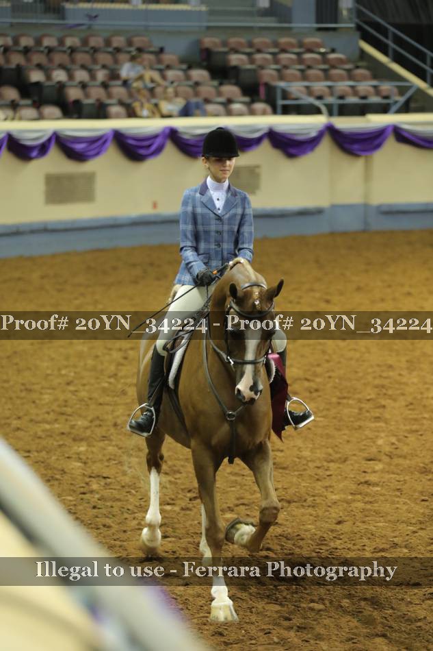 Proof 20YN_34224