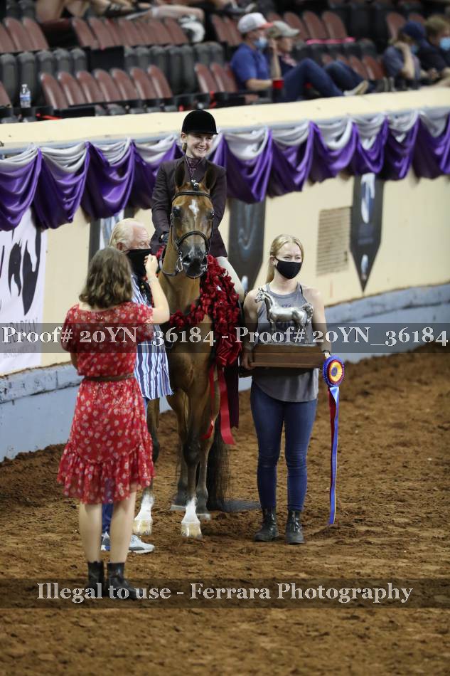 Proof 20YN_36184