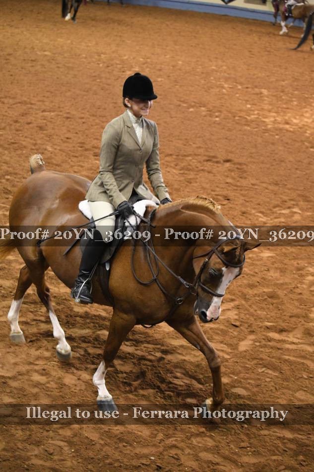 Proof 20YN_36209