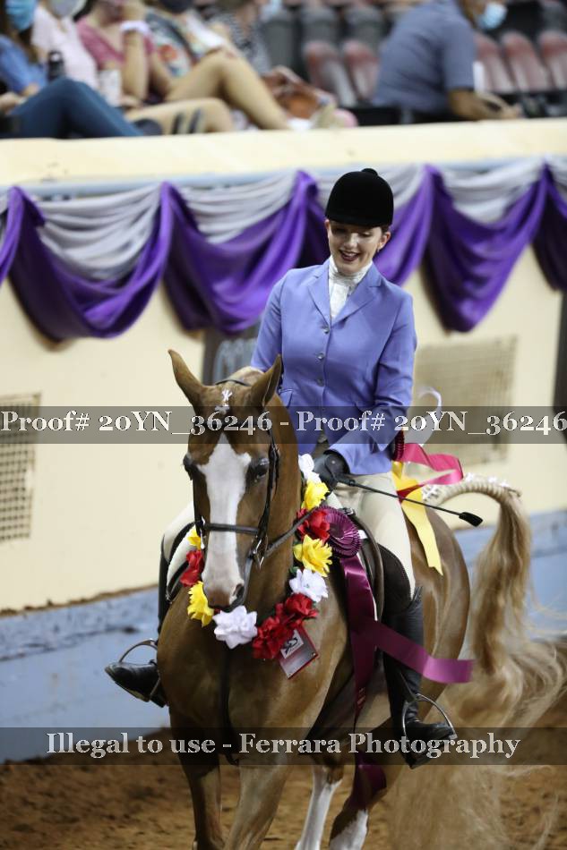 Proof 20YN_36246