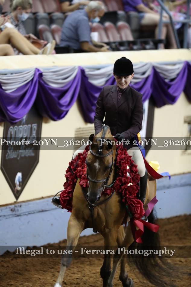 Proof 20YN_36260