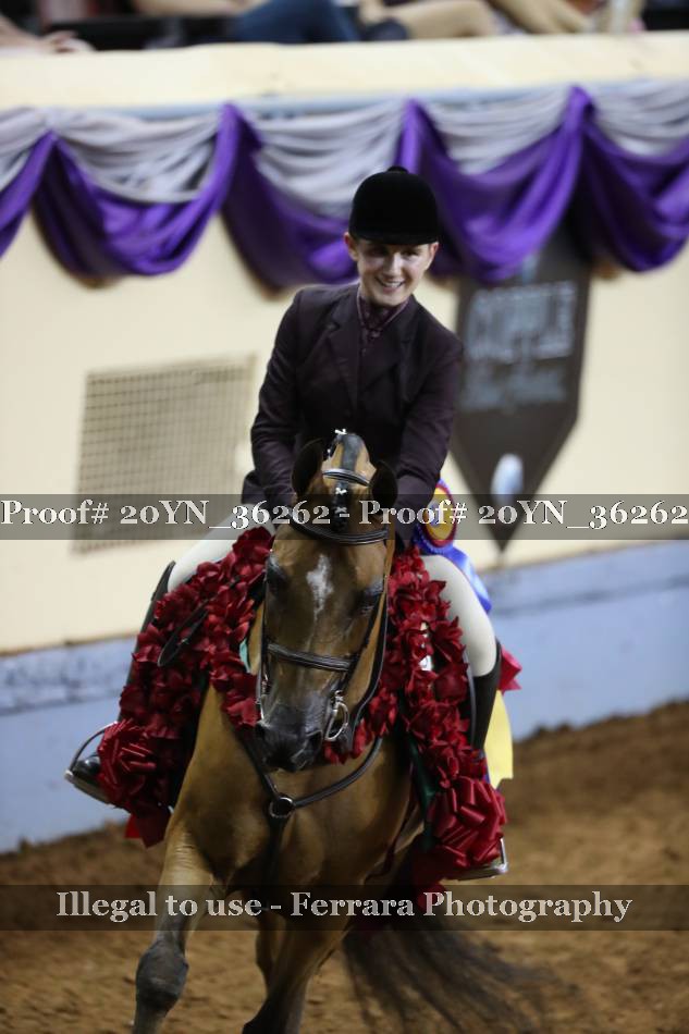 Proof 20YN_36262