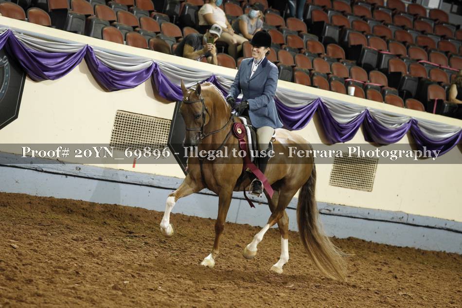 Proof 20YN_69896
