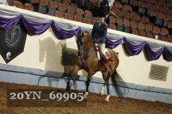 20YN_69905 proof