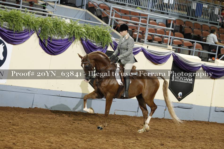 Proof 20YN_63841