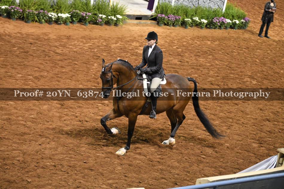 Proof 20YN_63874