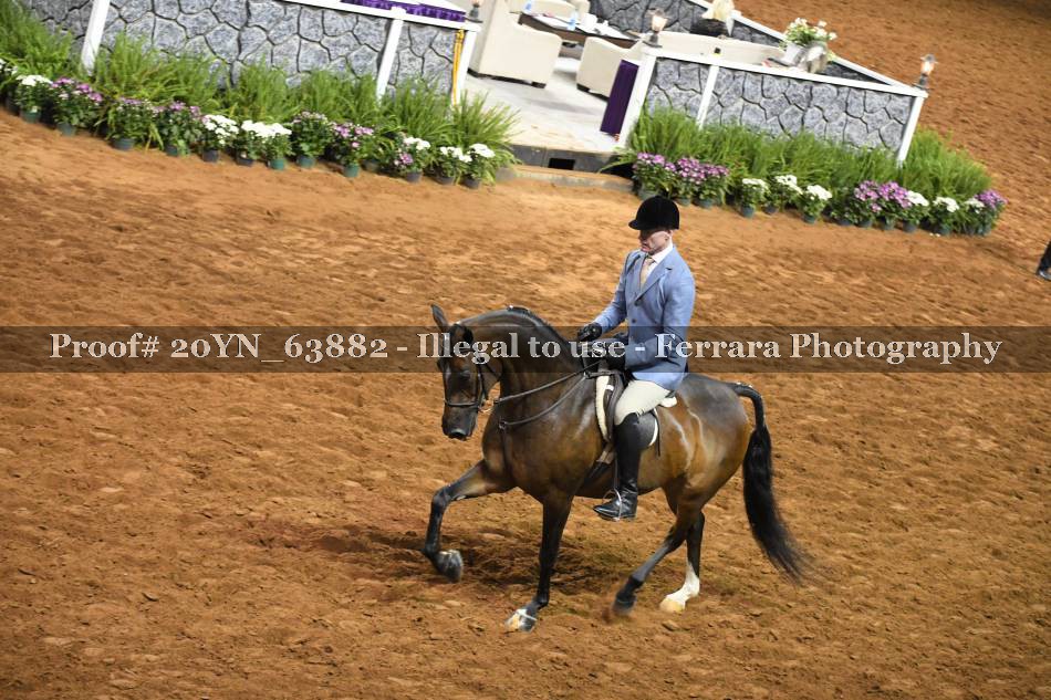 Proof 20YN_63882