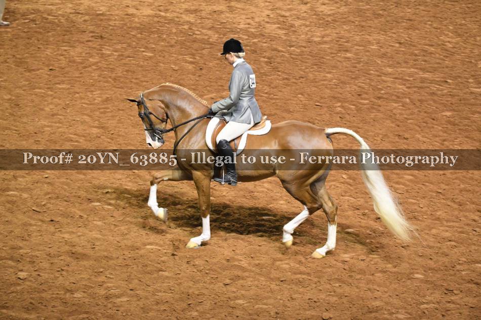 Proof 20YN_63885