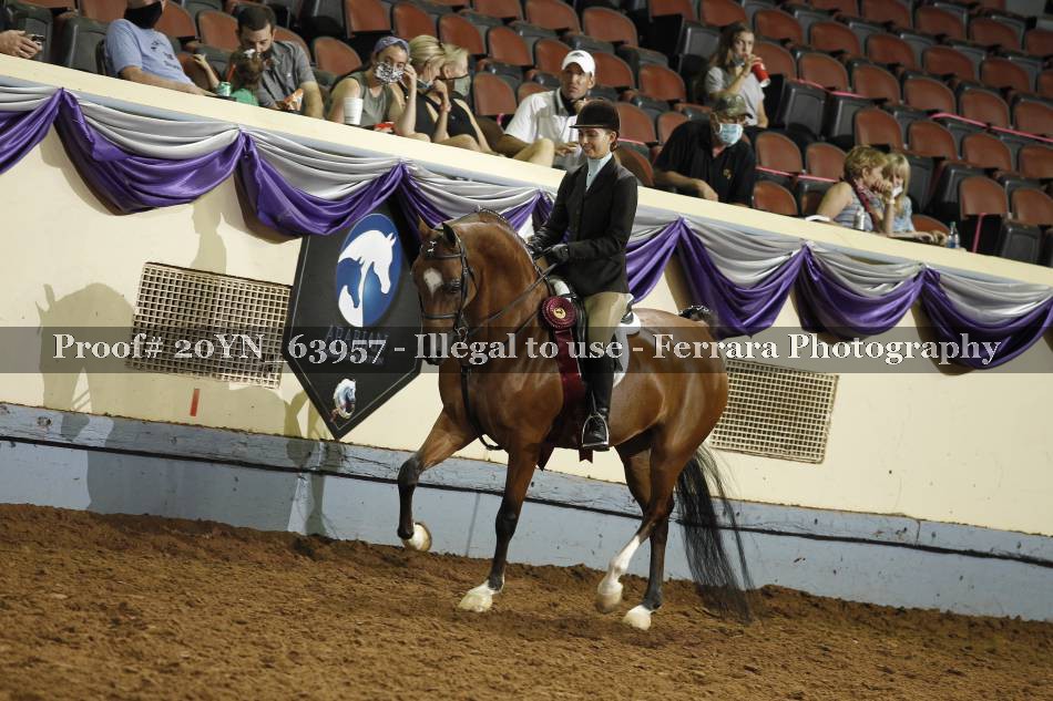 Proof 20YN_63957