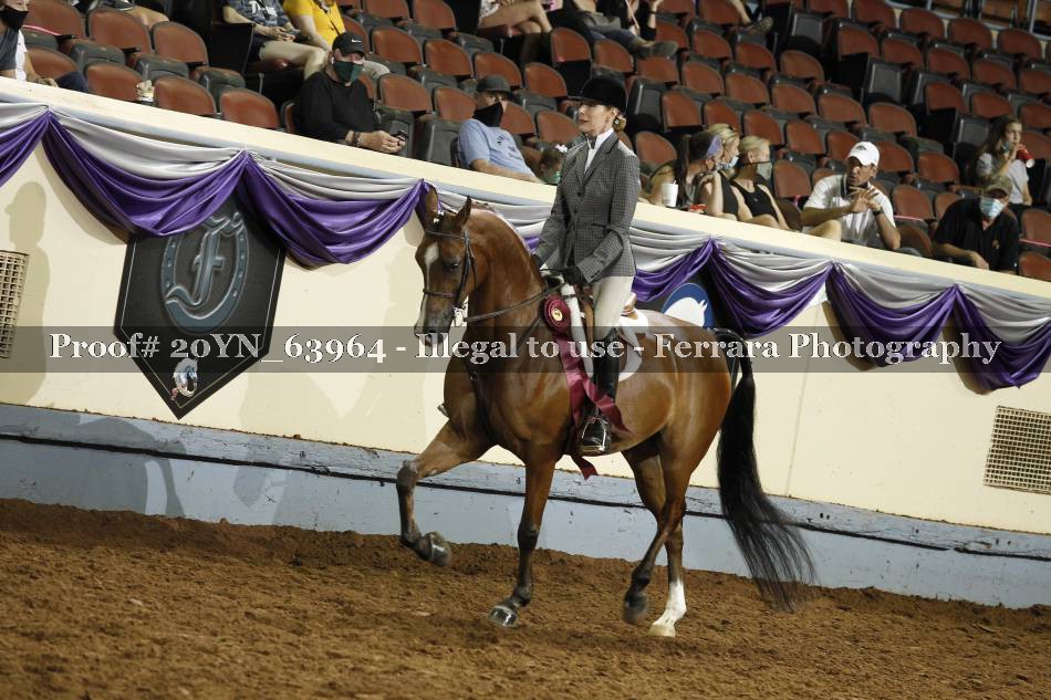 Proof 20YN_63964