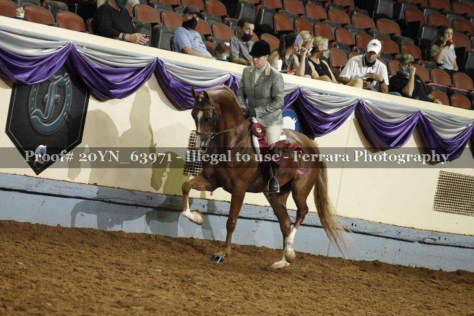 Proof 20YN_63971