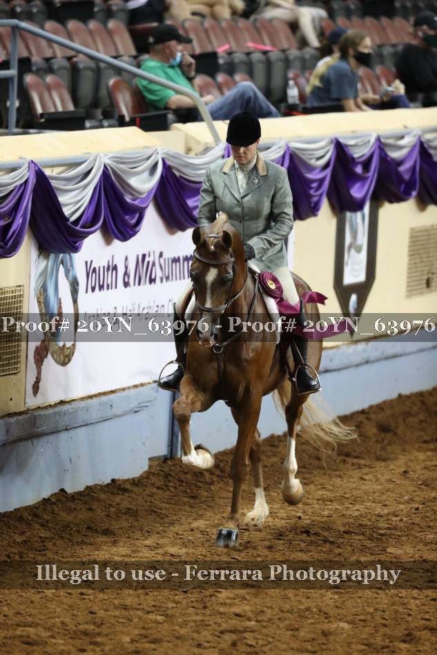 Proof 20YN_63976