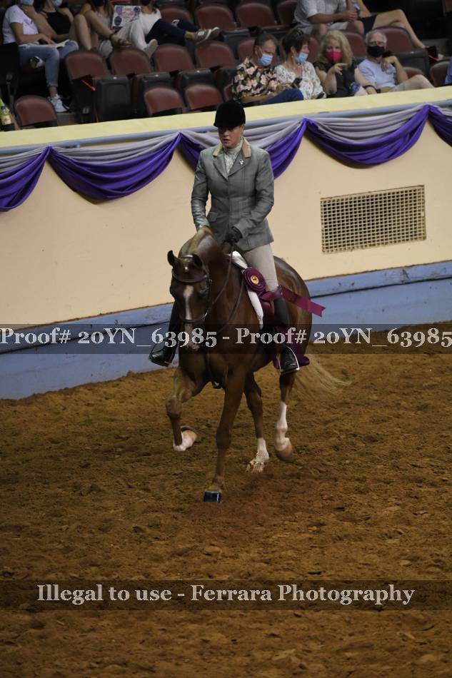 Proof 20YN_63985