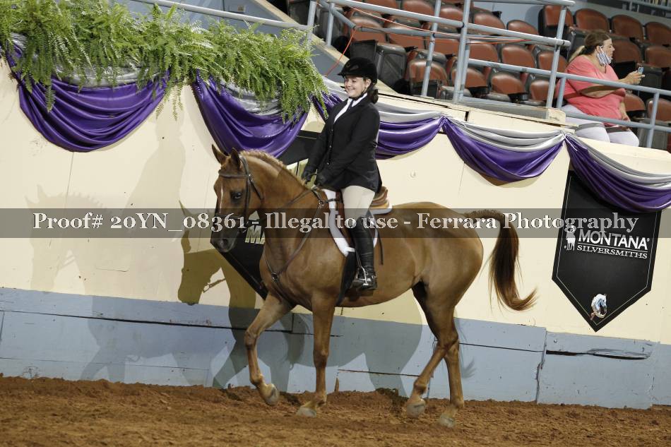 Proof 20YN_08361