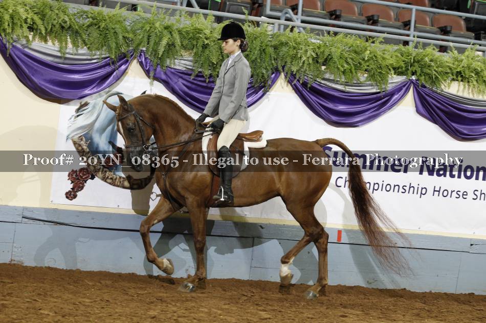 Proof 20YN_08365