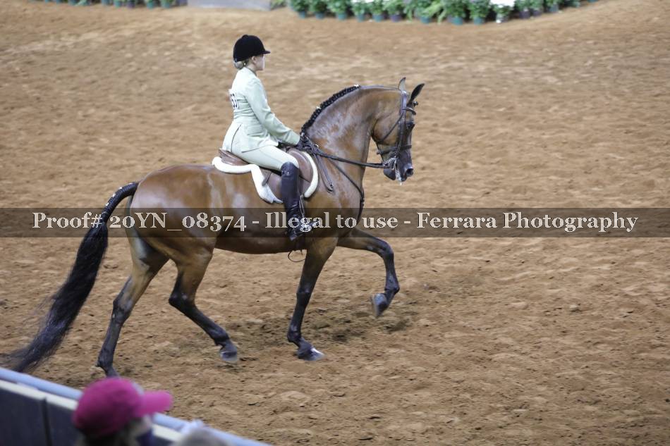 Proof 20YN_08374