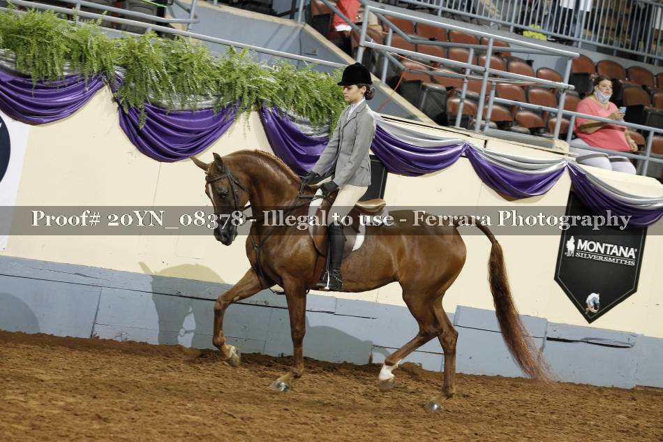 Proof 20YN_08378