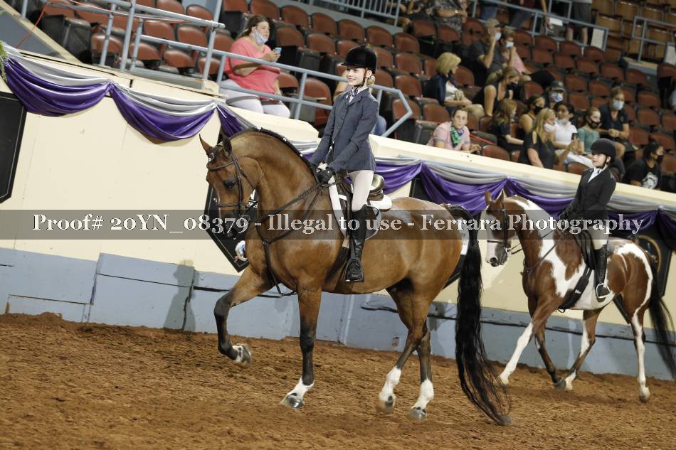 Proof 20YN_08379