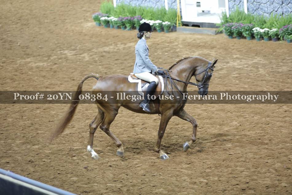 Proof 20YN_08384
