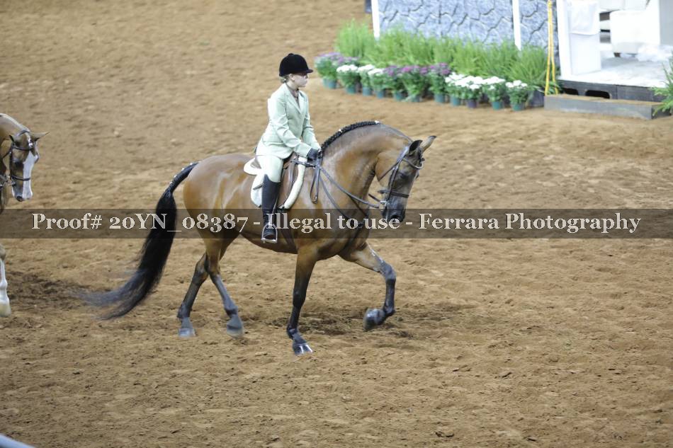 Proof 20YN_08387