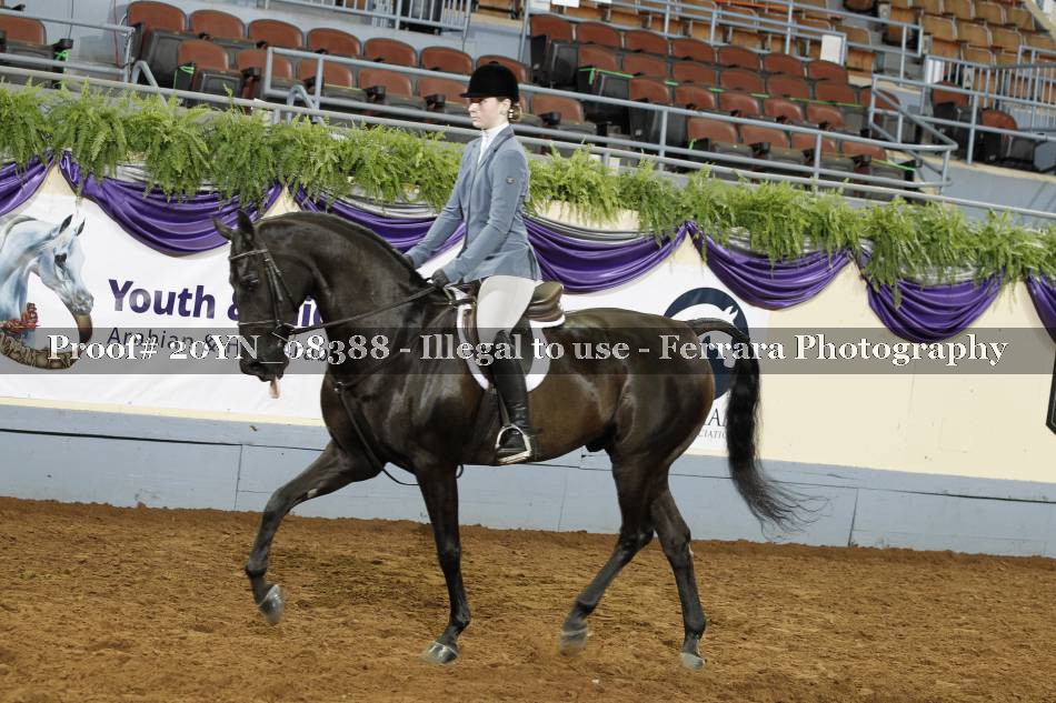 Proof 20YN_08388