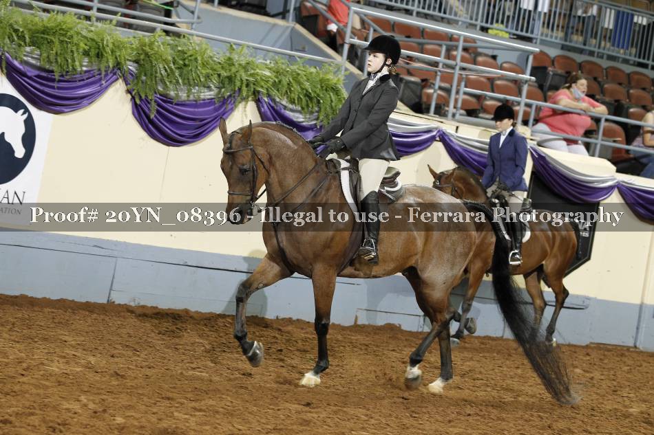 Proof 20YN_08396