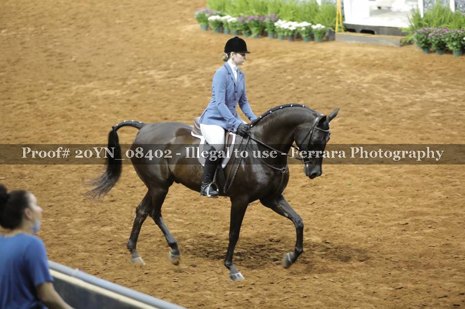 Proof 20YN_08402