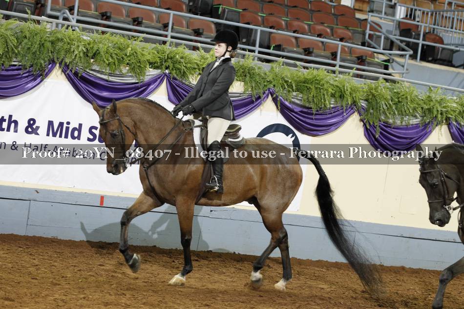 Proof 20YN_08407