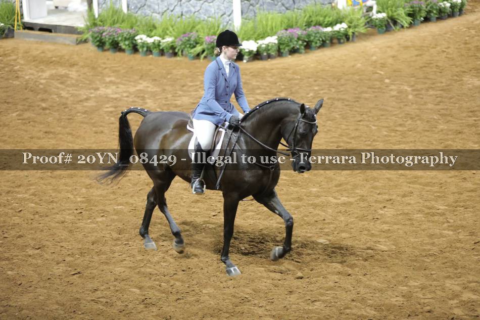Proof 20YN_08429
