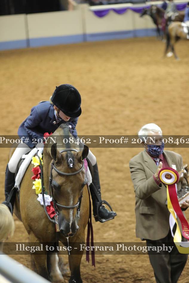 Proof 20YN_08462