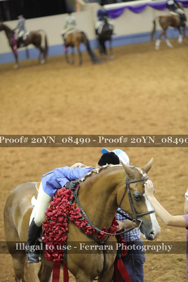 Proof 20YN_08490