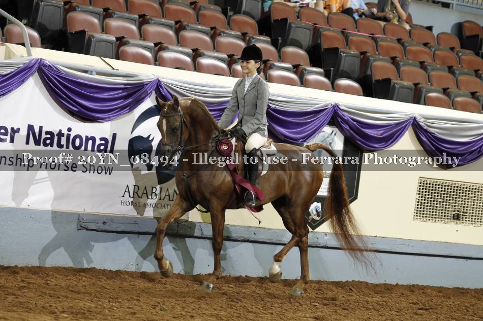 Proof 20YN_08494