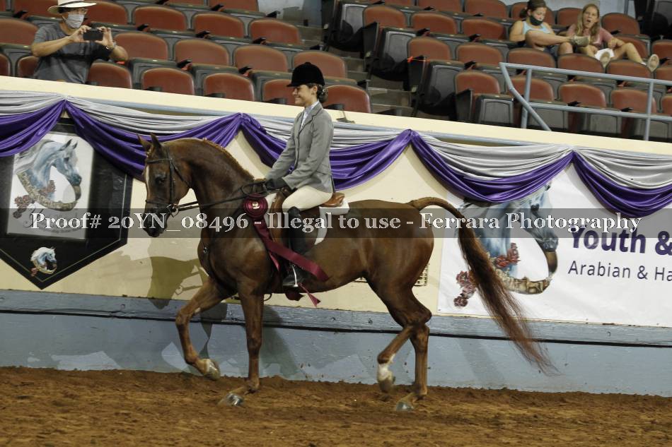 Proof 20YN_08496