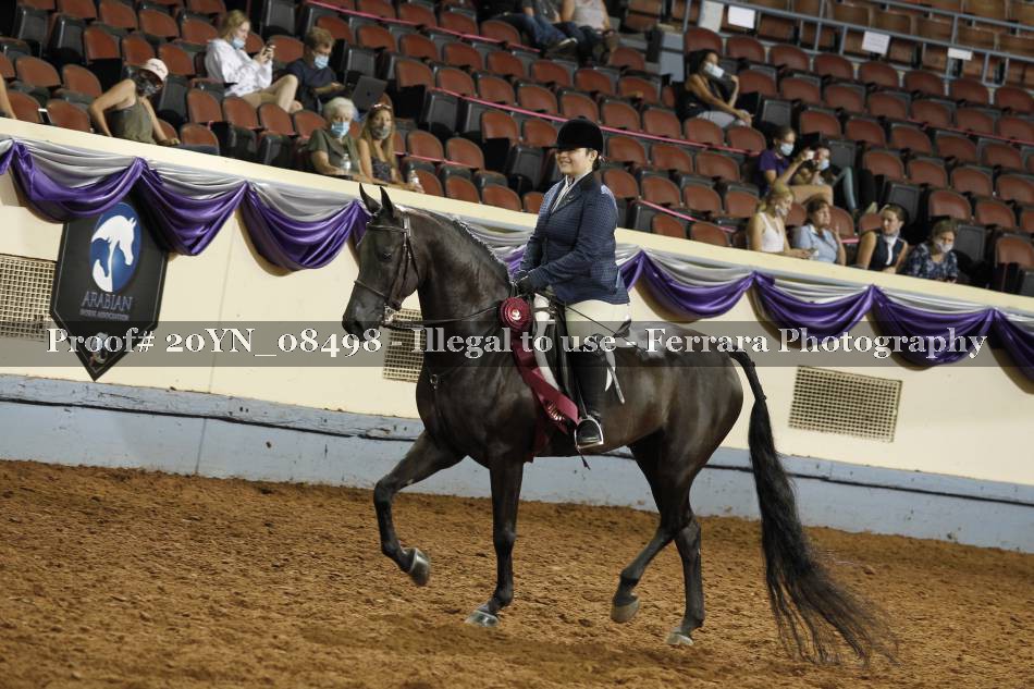 Proof 20YN_08498