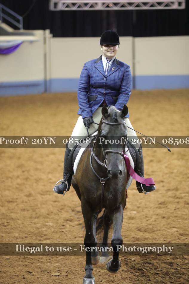 Proof 20YN_08508