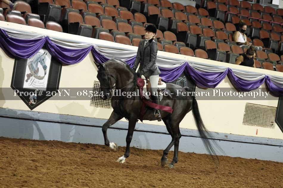 Proof 20YN_08524