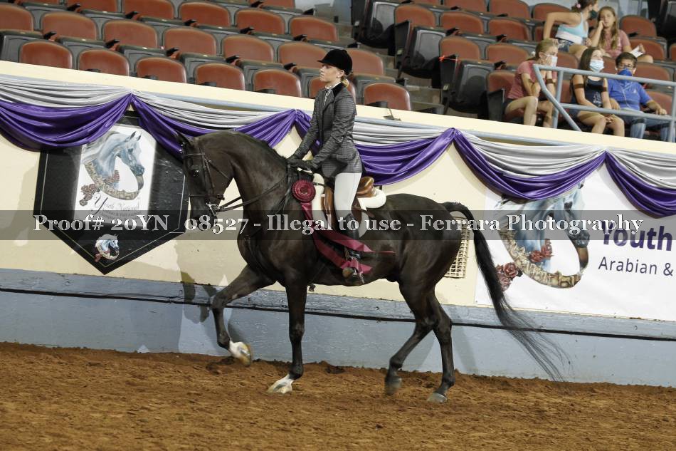 Proof 20YN_08527