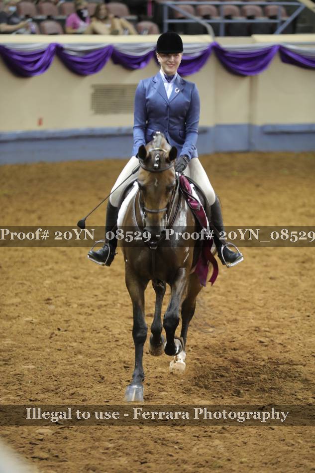 Proof 20YN_08529