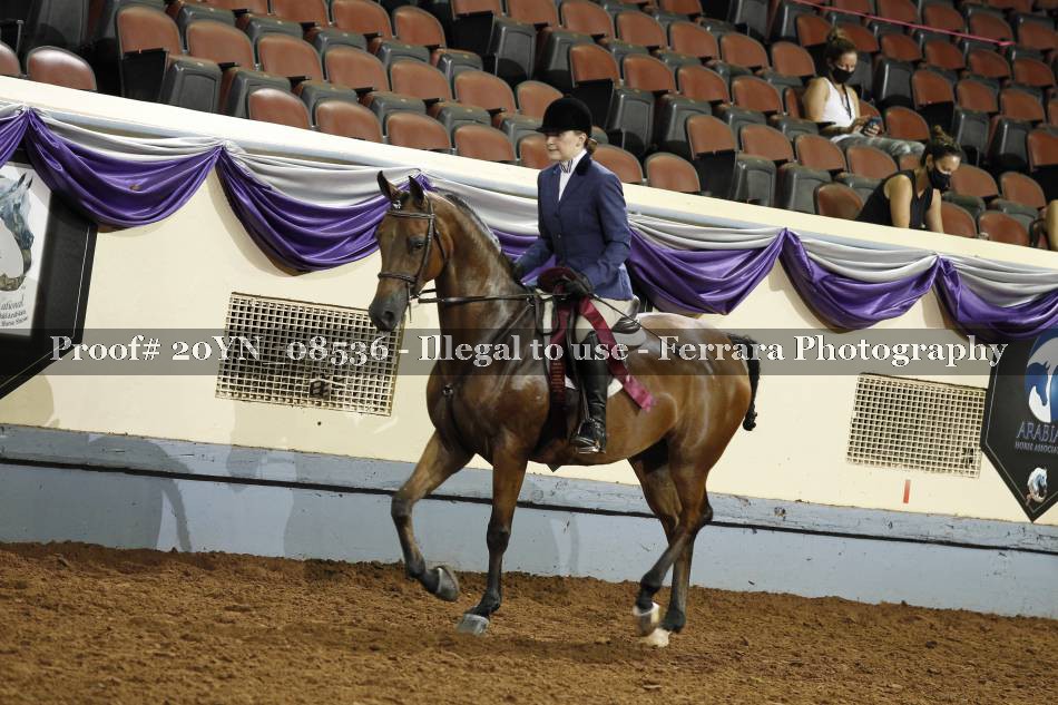 Proof 20YN_08536
