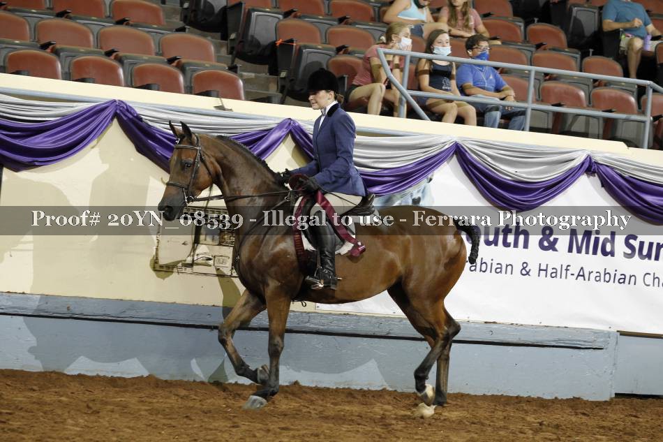 Proof 20YN_08539