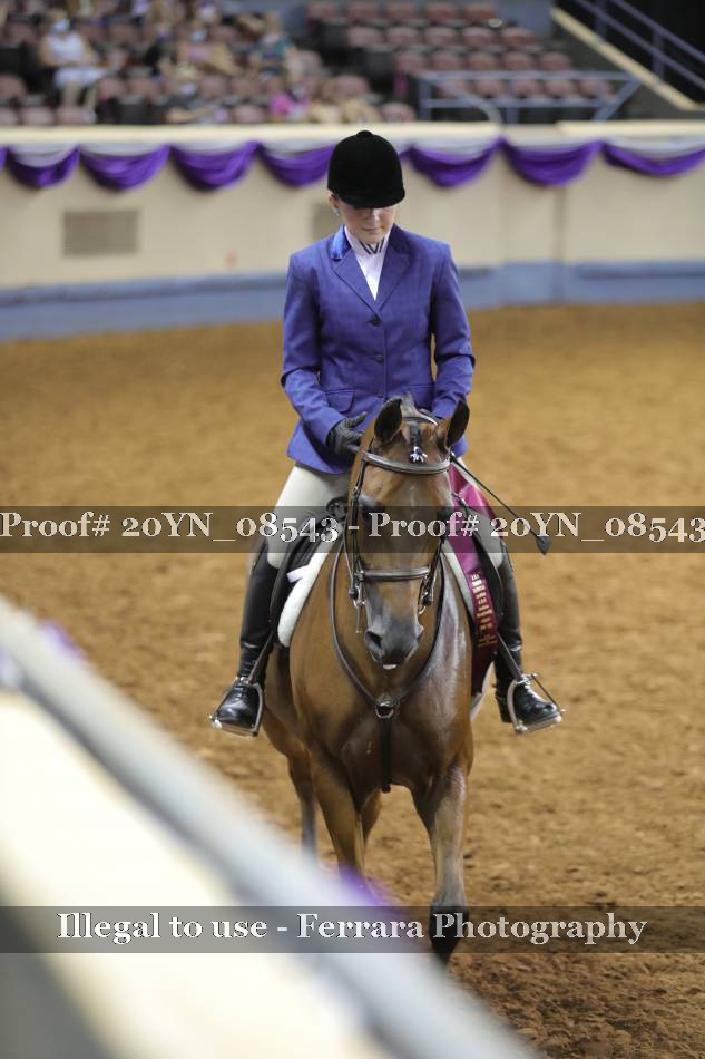 Proof 20YN_08543