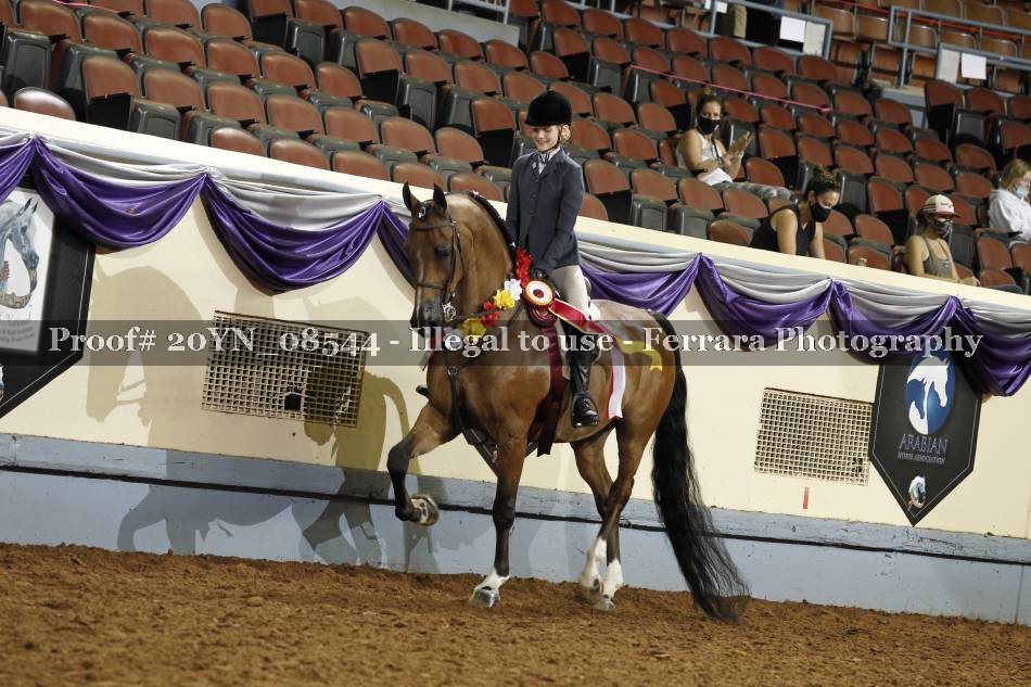Proof 20YN_08544