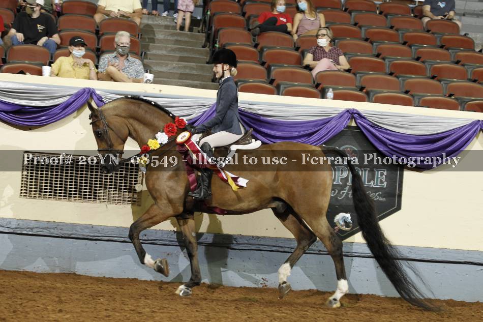 Proof 20YN_08549