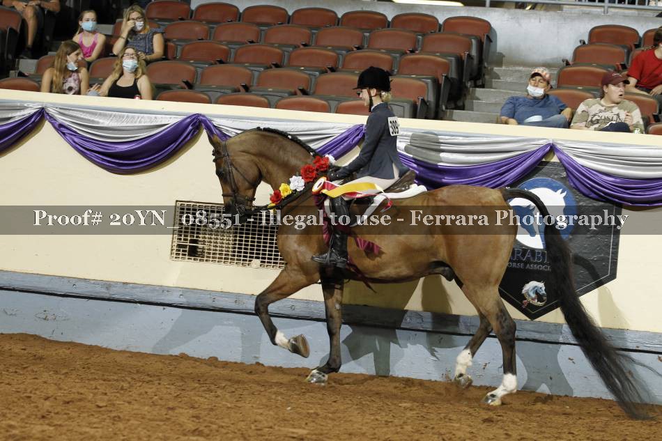 Proof 20YN_08551