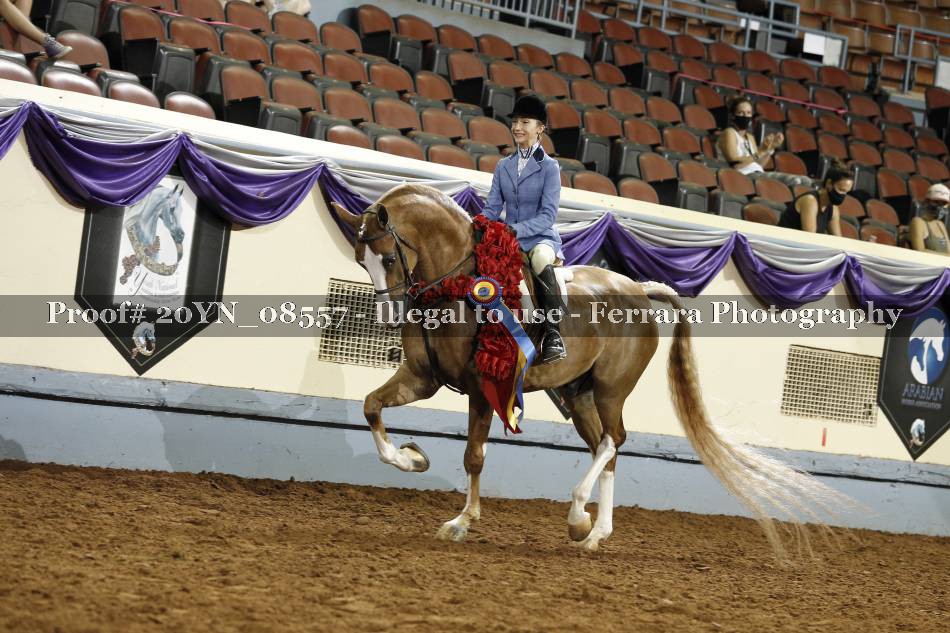 Proof 20YN_08557