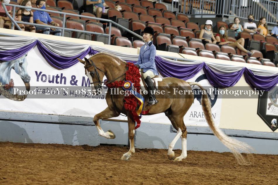 Proof 20YN_08558