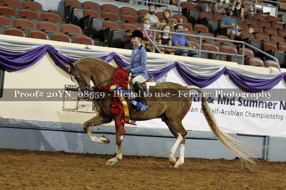 Proof 20YN_08559