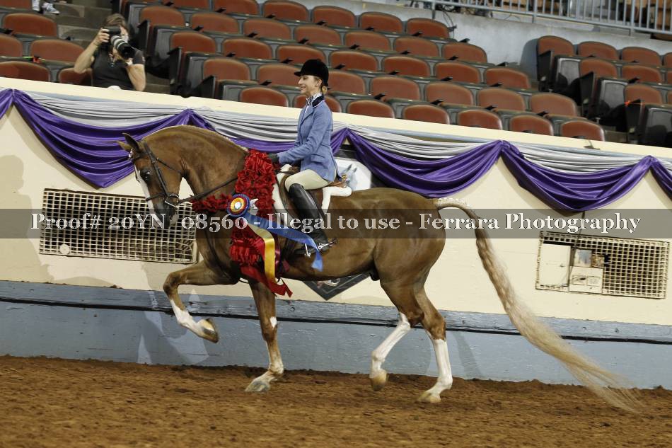 Proof 20YN_08560