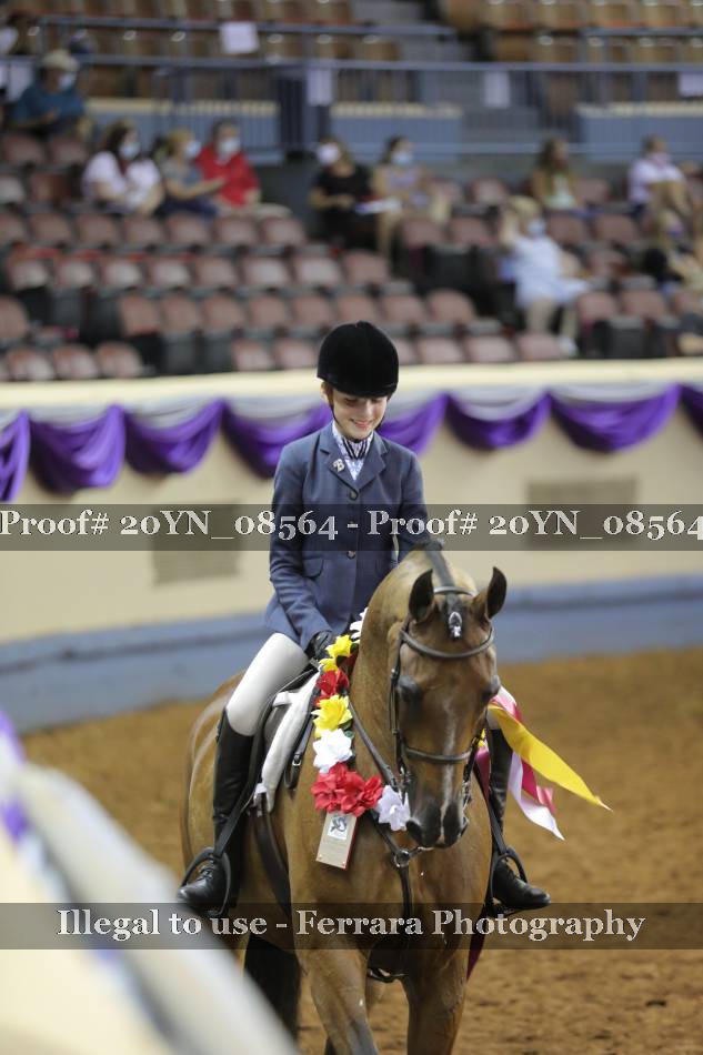 Proof 20YN_08564